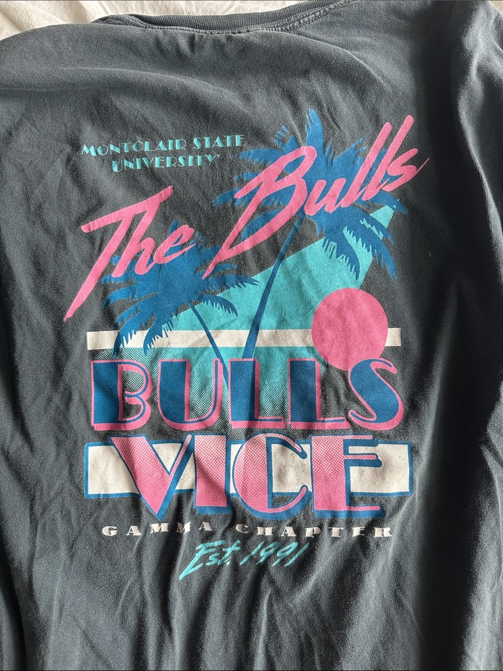 Montclair State University Spring Recruitment 2019 shirt